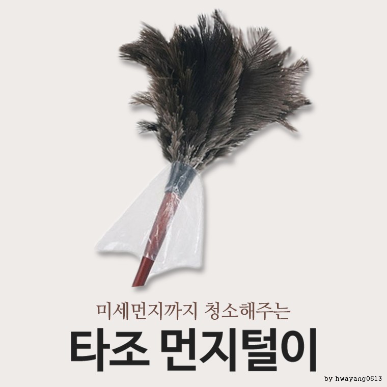 오늘의쇼핑은 타조 먼지털이개/극세사 걸레/신발 털이/먼지 떨이