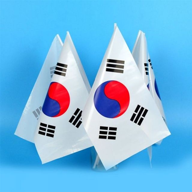 오늘의쇼핑은 파티클럽 태극기수기 비닐/30x19x40cm (1개)