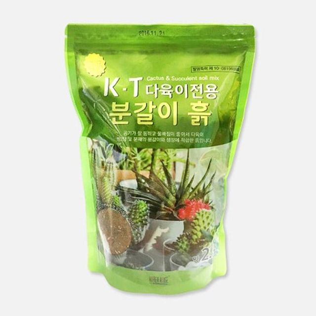 오늘의쇼핑은 KT 다육이 전용 분갈이 흙 2.5L