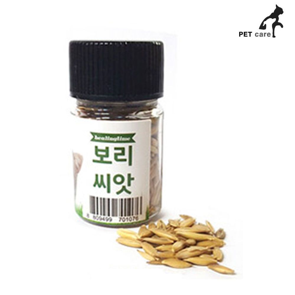 생활모음 보리씨앗 20g