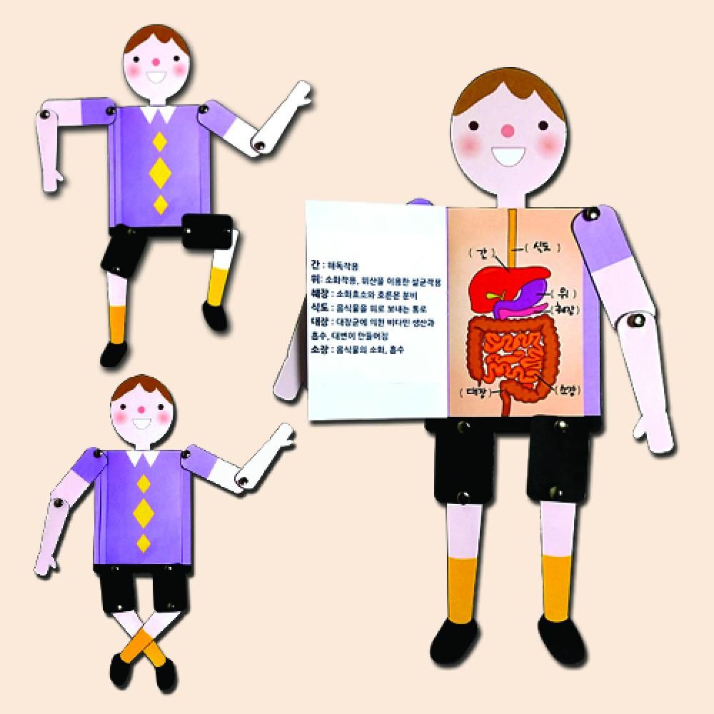 오늘의쇼핑은 만들기대장 우리몸 신체장기 인형 만들기